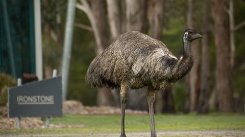 Aspect Villas - Hotel Accommodation 6