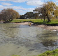 Kangaroo Lake Caravan Park - Hotel Accommodation