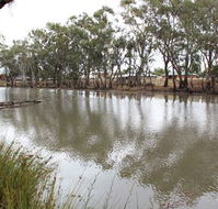 Riverbank Caravan Park - Hotel Accommodation