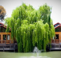 Perricoota Vines Retreat Echuca Moama - Hotel Accommodation