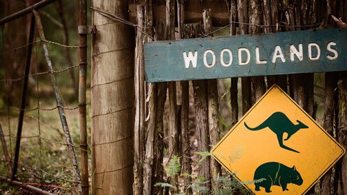 Narbethong VIC Hotel Accommodation