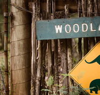 Woodlands Rainforest Retreat - Hotel Accommodation