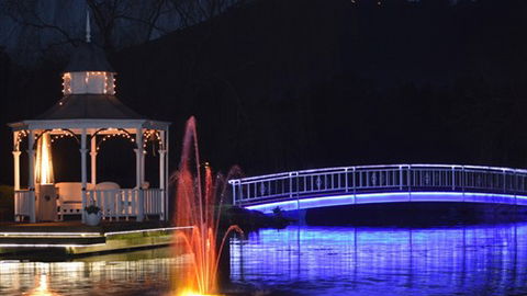 Lakeside Cottage - Hotel Accommodation 0