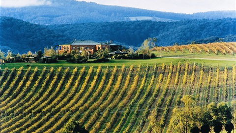 Yering Gorge Cottages - Hotel Accommodation 1