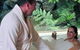 Myers Creek Cascades Luxury Cottages - thumb 6