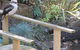 Myers Creek Cascades Luxury Cottages - thumb 5