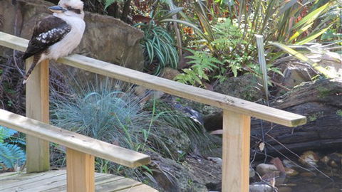 Myers Creek Cascades Luxury Cottages - Hotel Accommodation 5
