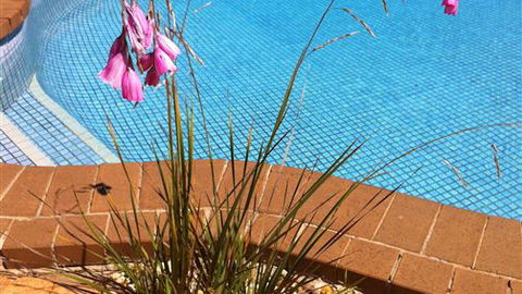 The Murray View Motel - Hotel Accommodation 6