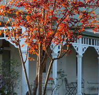 Yarra Gables Motel - Hotel Accommodation