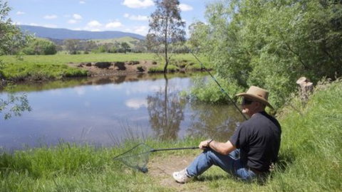 BIG4 Taggerty Holiday Park - Hotel Accommodation 4