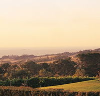 The Studio Bed and Breakfast - Hotel Accommodation