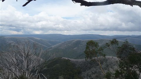 Leeton Lodge - Hotel Accommodation 0