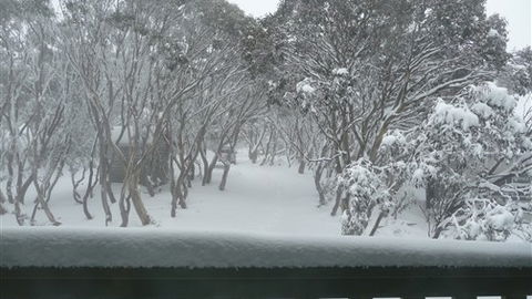 Leeton Lodge - Hotel Accommodation 6