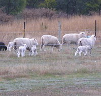 Auberge Woodend - Hotel Accommodation