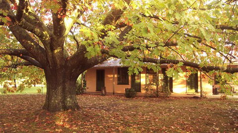 Delatite Station - Hotel Accommodation 3