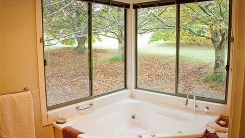 Chestnut Glade - Hotel Accommodation 3