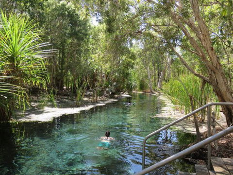 Bitter Springs Cabins And Camping - Hotel Accommodation 6