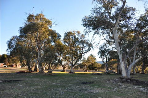 Braemar Bay Holiday Park - Hotel Accommodation 5