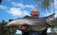 Braemar Bay Holiday Park - thumb 7