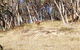 Braemar Bay Holiday Park - thumb 10