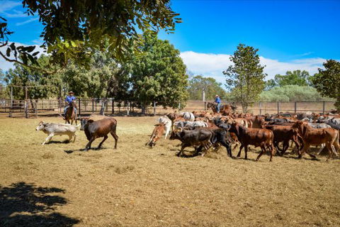 Bullo River Station - Hotel Accommodation 1