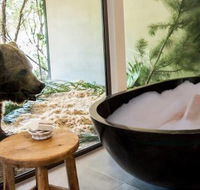 Jamala Wildlife Lodge - Hotel Accommodation