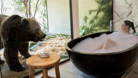 Jamala Wildlife Lodge - Hotel Accommodation 0
