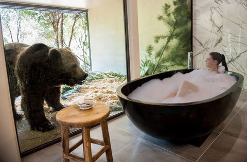 Jamala Wildlife Lodge - Hotel Accommodation 1