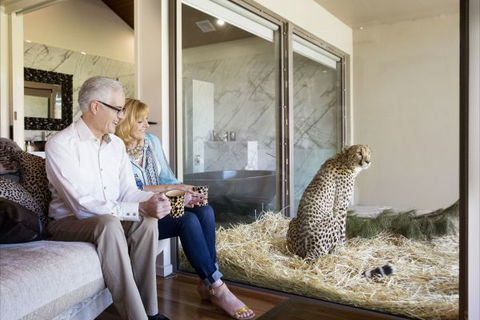 Jamala Wildlife Lodge - Hotel Accommodation 3