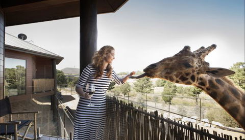 Jamala Wildlife Lodge - Hotel Accommodation 8