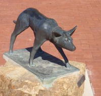 The Ardlethan Kelpie Caravan Park - Hotel Accommodation