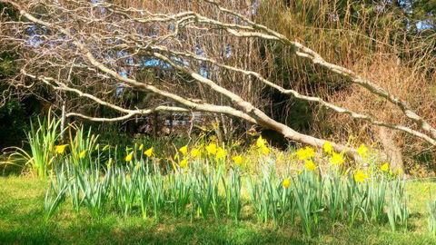 Southdown Cottage Bowral - Hotel Accommodation 7