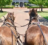 Hunter Valley Horses - Hotel Accommodation