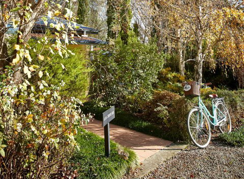 Pizzini's Vineyard Guesthouse - Hotel Accommodation 5