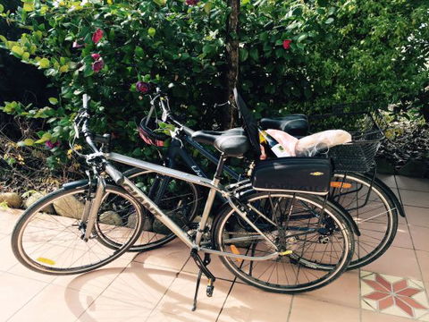 Pizzini's Vineyard Guesthouse - Hotel Accommodation 8