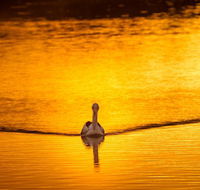 River Shack Rentals - Living the Dream - Hotel Accommodation