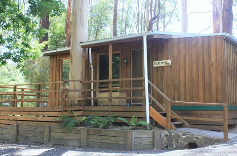 Tarra Valley Caravan Park - Hotel Accommodation 1