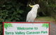 Tarra Valley Caravan Park - thumb 3