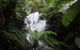 Tarra Valley Caravan Park - thumb 4