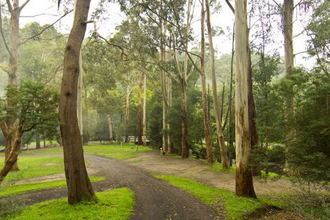 Tarra Valley Caravan Park - Hotel Accommodation 6
