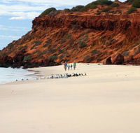 Herald Bight Camp at Francois Peron National Park - Hotel Accommodation