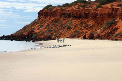 Herald Bight Camp At Francois Peron National Park - Hotel Accommodation 0