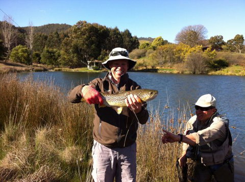 Jamieson Valley Retreat - Hotel Accommodation 1