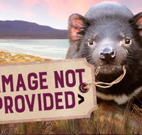 Thalia Haven - Hotel Accommodation