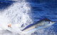 True Blue Fishing Charters - thumb 1