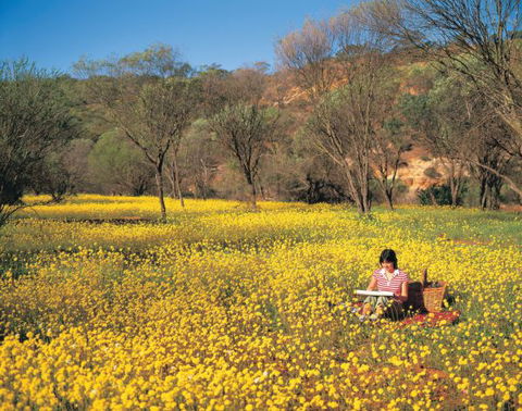 Miners Camp At Coalseam National Park - Hotel Accommodation 0