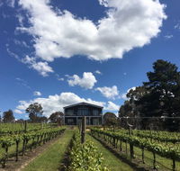 Mortimer's Accommodation amongst the Vines - Hotel Accommodation
