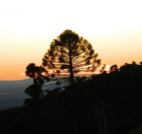 Bunya Mountains Accommodation Centre - Hotel Accommodation