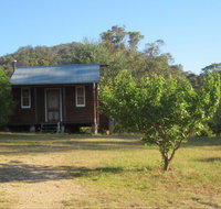Peach Tree Cabin - Hotel Accommodation