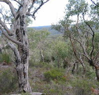 The Glen - Hotel Accommodation